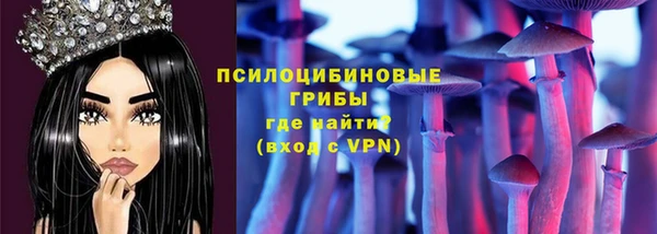 винт Абаза
