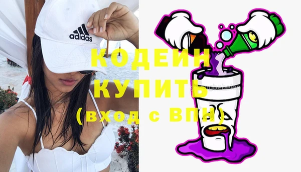 2c-b Новозыбков