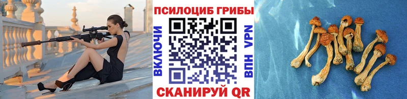 Псилоцибиновые грибы мицелий MEGA зеркало Яранск